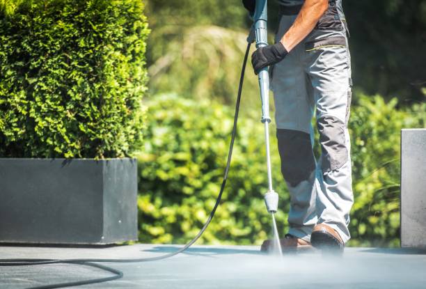 Best Solar Panel Cleaning  in Milton, WA